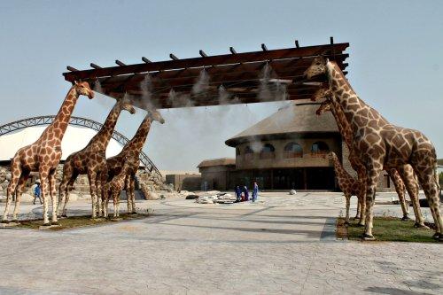 Entrace gate of Dubai Safari Park Al-Warqa