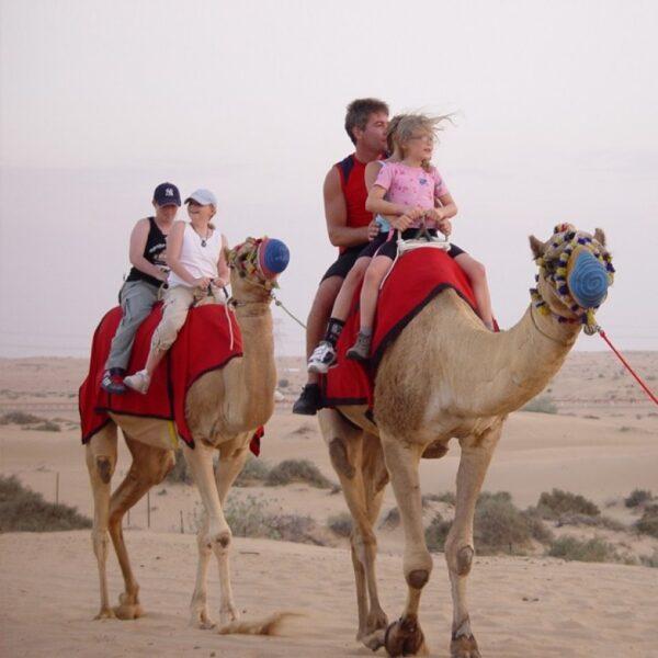 Camel ride Safari