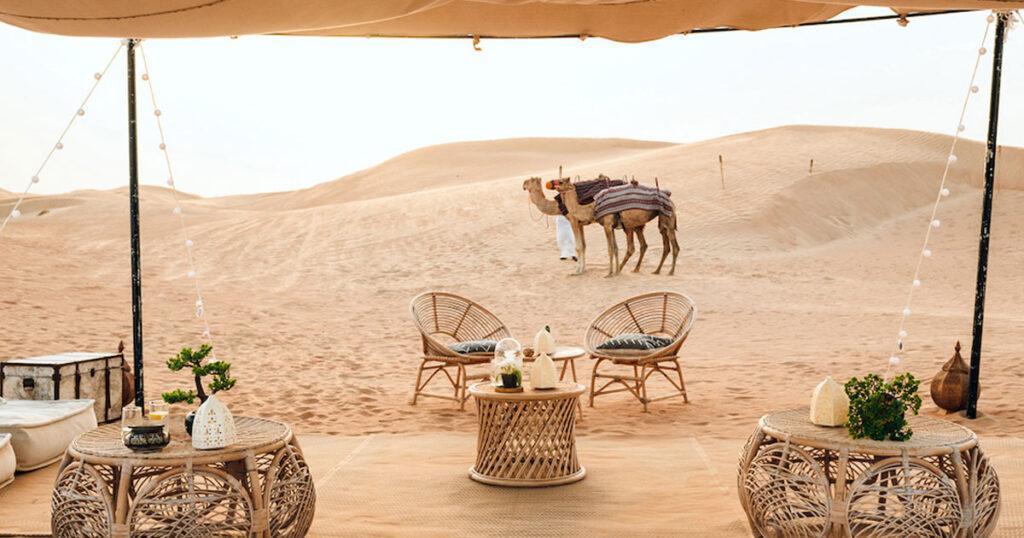 desert safari camp resort